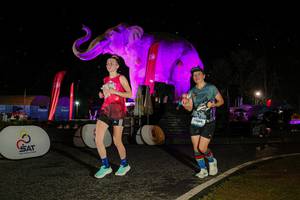 BIB: 
                            <button type="button" onclick="openModal(26534826)" class="btn btn-primary btn-sm float-right btn-popup" data-toggle="modal" data-target=".modal-high-quality">
                        <i class="fas fa-shopping-cart"></i> Add to Cart
                    </button>
                                            <button type="button" onclick="isThisMe(26534826, true)" class="btn btn-success btn-sm float-right btn-popup btn-isme hidden" data-toggle="tooltip" data-placement="bottom" title="นี่คือรูปของคุณใช่ไหม คลิกที่นี่เพื่อเอาเข้าอัลบั้ม">
                        <i class="fas fa-plus"></i> Add to album
                    </button>
                    <button type="button" onclick="isThisMe(26534826, false)" class="btn btn-warning btn-sm float-right btn-popup btn-isnotme hidden">
                        <i class="fas fa-ban"></i> Remove from album
                    </button>